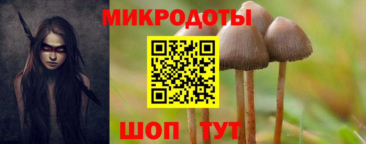 Галлюциногенные грибы Psilocybine cubensis  Вход с VPN  Обь 